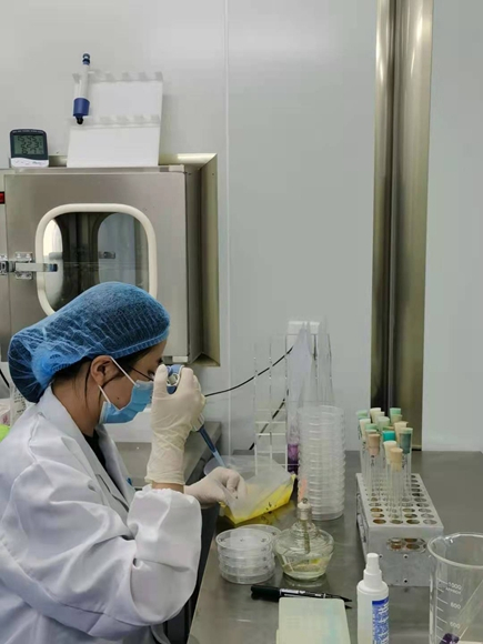 同品种检验报告对比技术要求